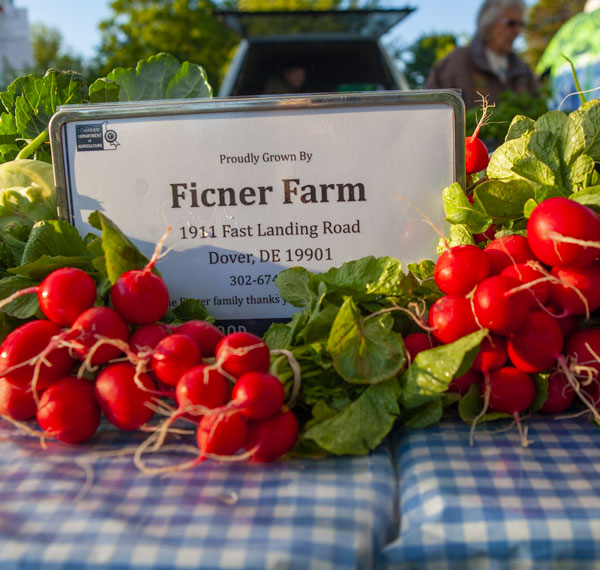 Ficner Farm