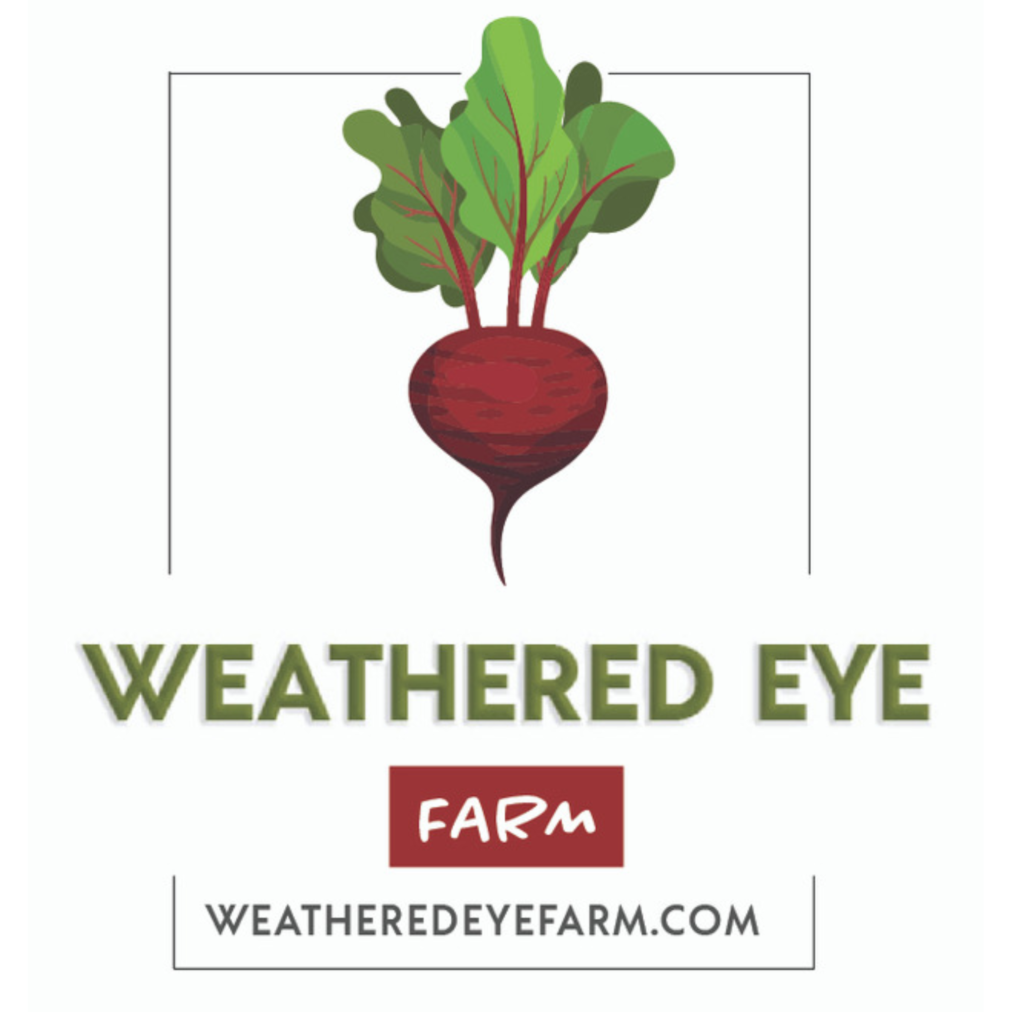 Weathered eye new logo 2024