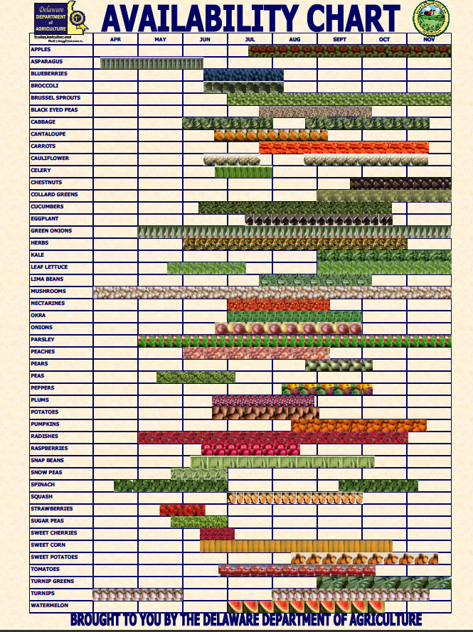 food chart