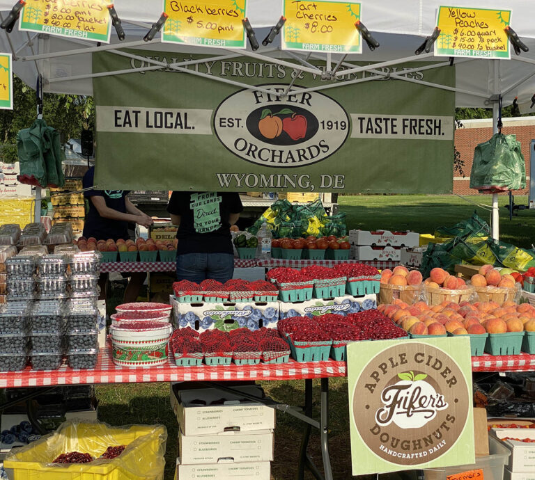 Fifers-2-MP-2021_10_28-18_47_13-UTC-768x690