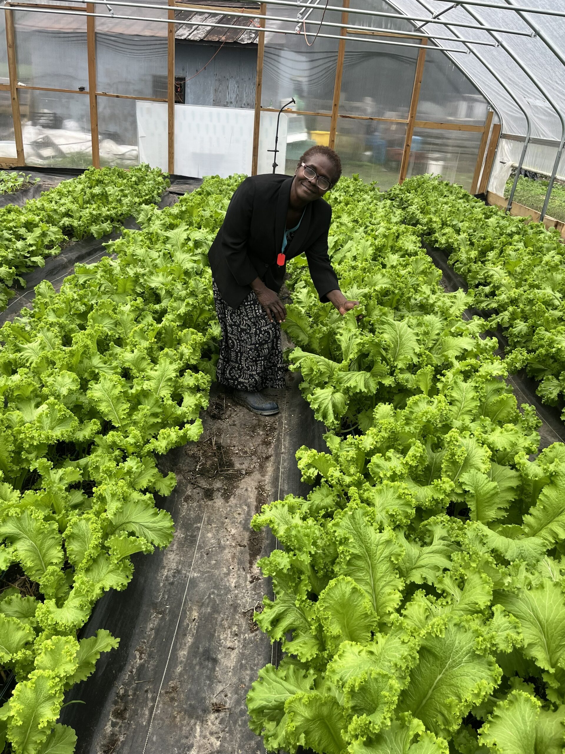 Grahams Farm and Produce Lorna