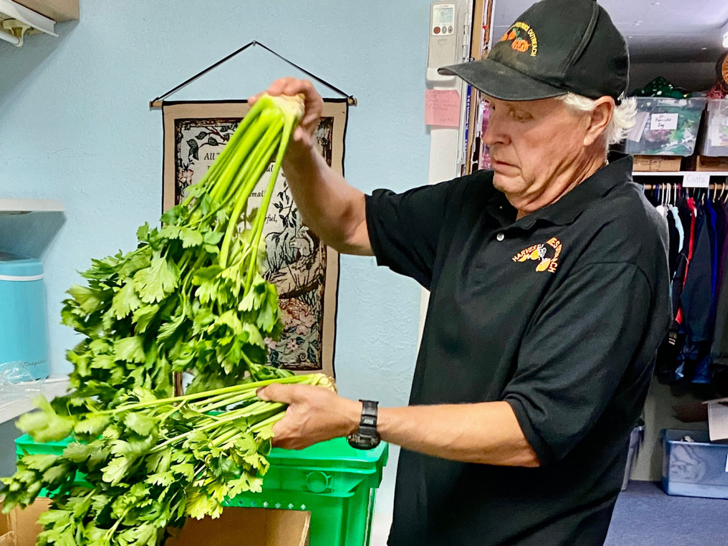 Volunteer from Harvest Ministries packing up fresh vegetables to be distributed